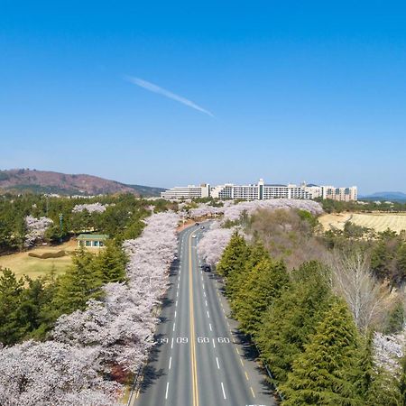 ケンジントン リゾート 慶州 慶州市 エクステリア 写真