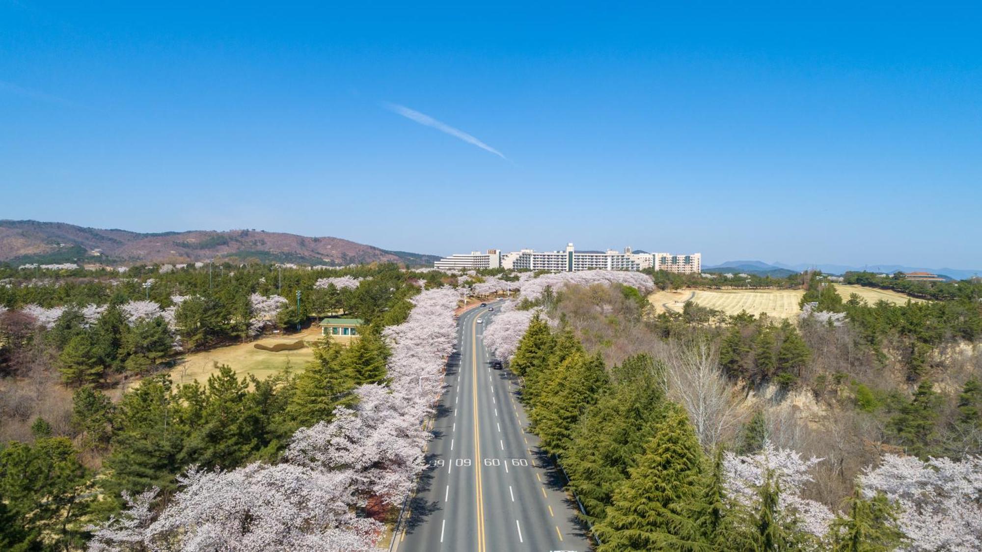 ケンジントン リゾート 慶州 慶州市 エクステリア 写真